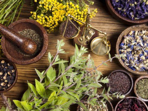 Ayurveda and Traditional Herbal Medicine